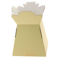 30 x Cream Living Vase - Aqua Box