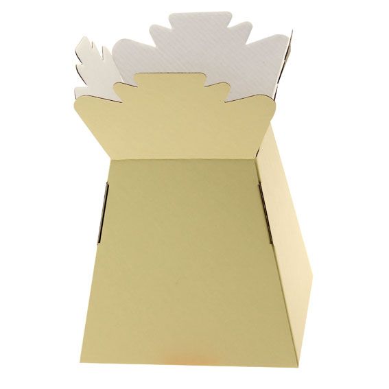 30 x Cream Living Vase - Aqua Box