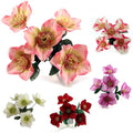 48 x 32cm Lotus Bush - Assorted Colours - FULL BOX