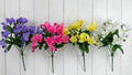 48 x 35cm Freesia Bunch - Assorted Colours - Spring - FULL BOX