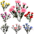 48 X Carnation Bunch - 5 Stems - Assorted Colours - Full Box