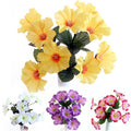 48 X Petunia Bunch - Assorted Colours - Full Box