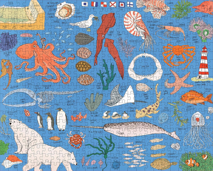500 Piece Jigsaw Puzzle - Ocean Anatomy | Storey