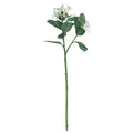 60cm White Stephanotis Artificial Single Stem - 2 Heads