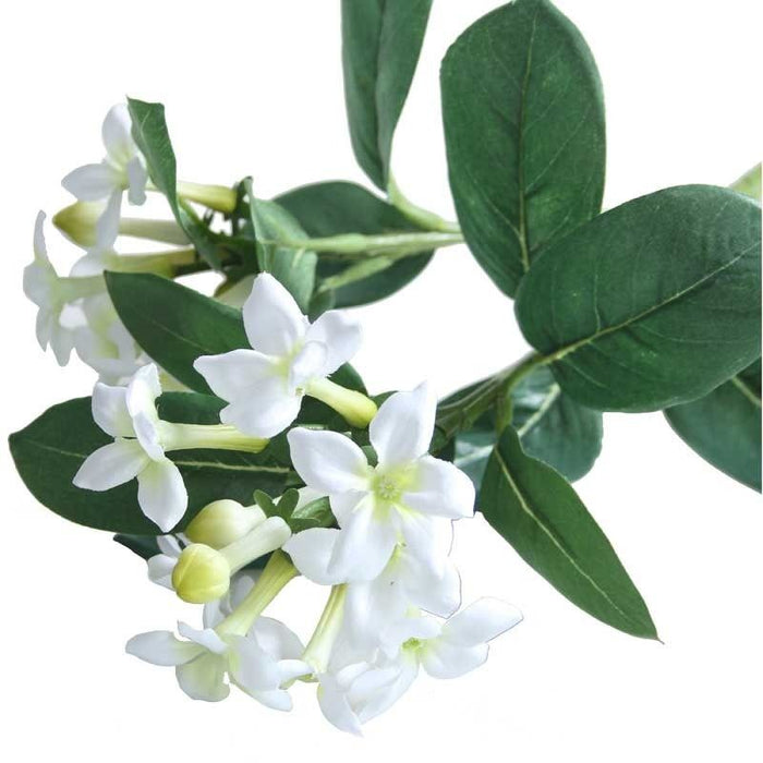 60cm White Stephanotis Artificial Single Stem - 2 Heads