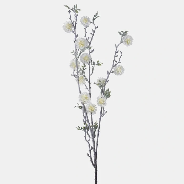 92cm White Buttonbush Branch Green Foliage Greenery - Single Stem