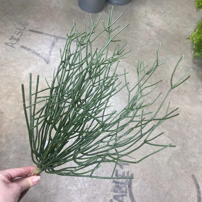 Select UV Pencil Cactus Plant 16" - Artificial Non-Flowering Plants Silk