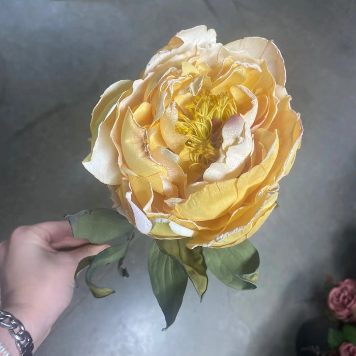 Direct Export Dried Peony Stem Yellow 22" - Uncategorized Silk