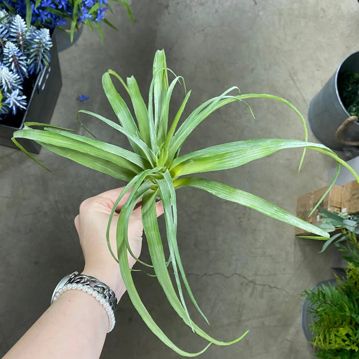 Supreme Air Grass Plant Green - Uncategorized Silk