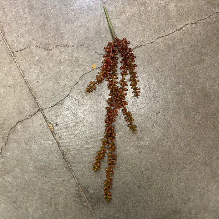 AmBest Sedum Hanging Stem Yellow-Brown 23" - Uncategorized Silk