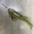 Supreme Wild Fern Hanging Bush - Uncategorized Silk