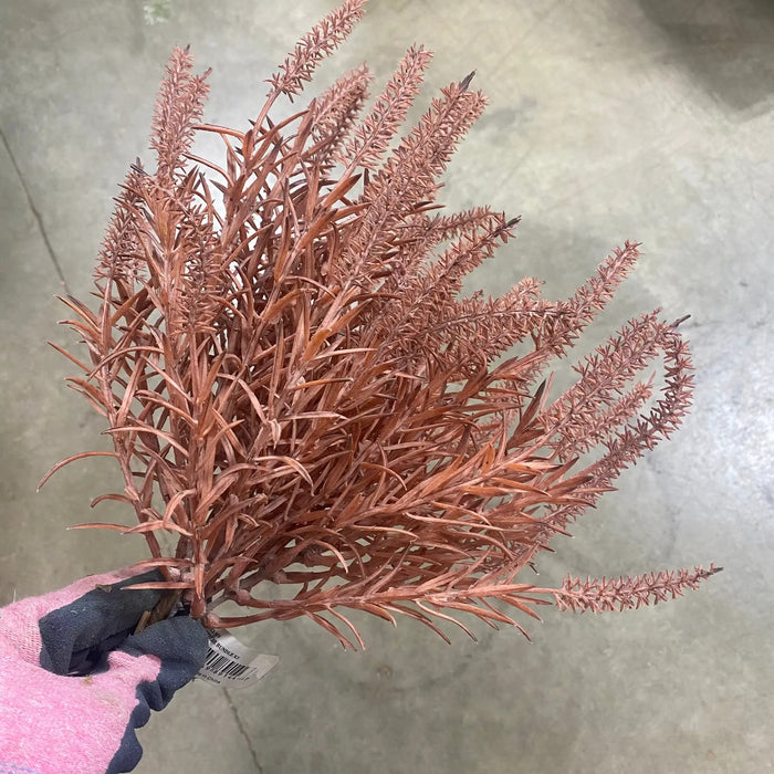 Allstate Astilbe Bundle X3 Mauve 9" - Uncategorized Silk