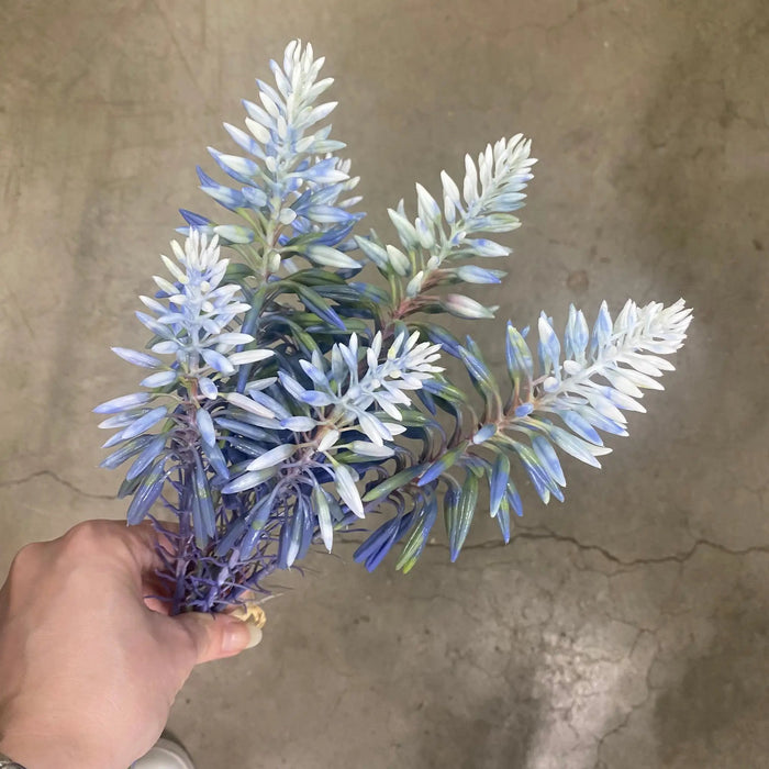 Le Fleur Aloe Spray Blue 17.5" - Artificial Flora Silk