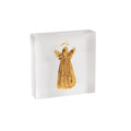 Angel Acrylic Plaque