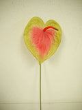 Anthurium Stem Green-Red 28"