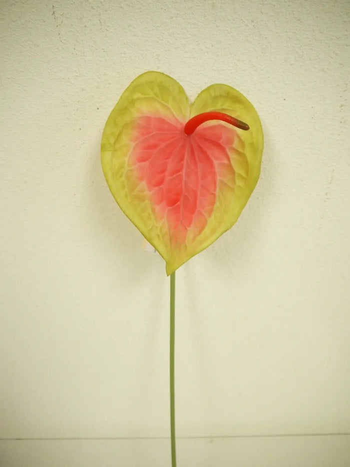 Anthurium Stem Green-Red 28"