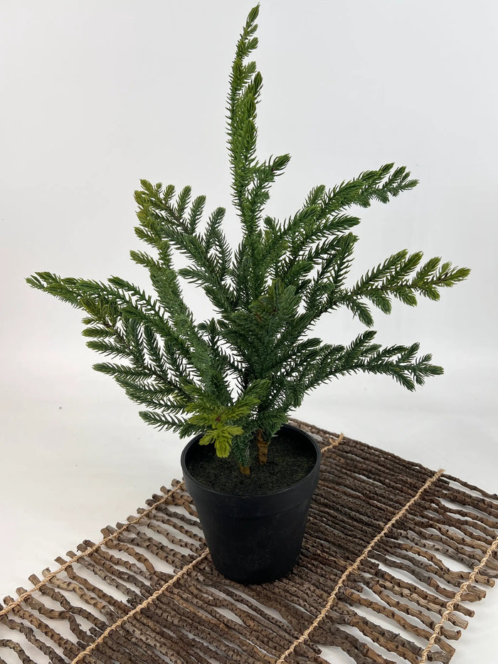 Le Fleur Araucaria Pine Tree in Pot Green 16" - Artificial Trees Silk