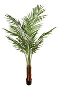 Greenhouse International Giant Areca Palm with Bark in Pot 5' - Silk