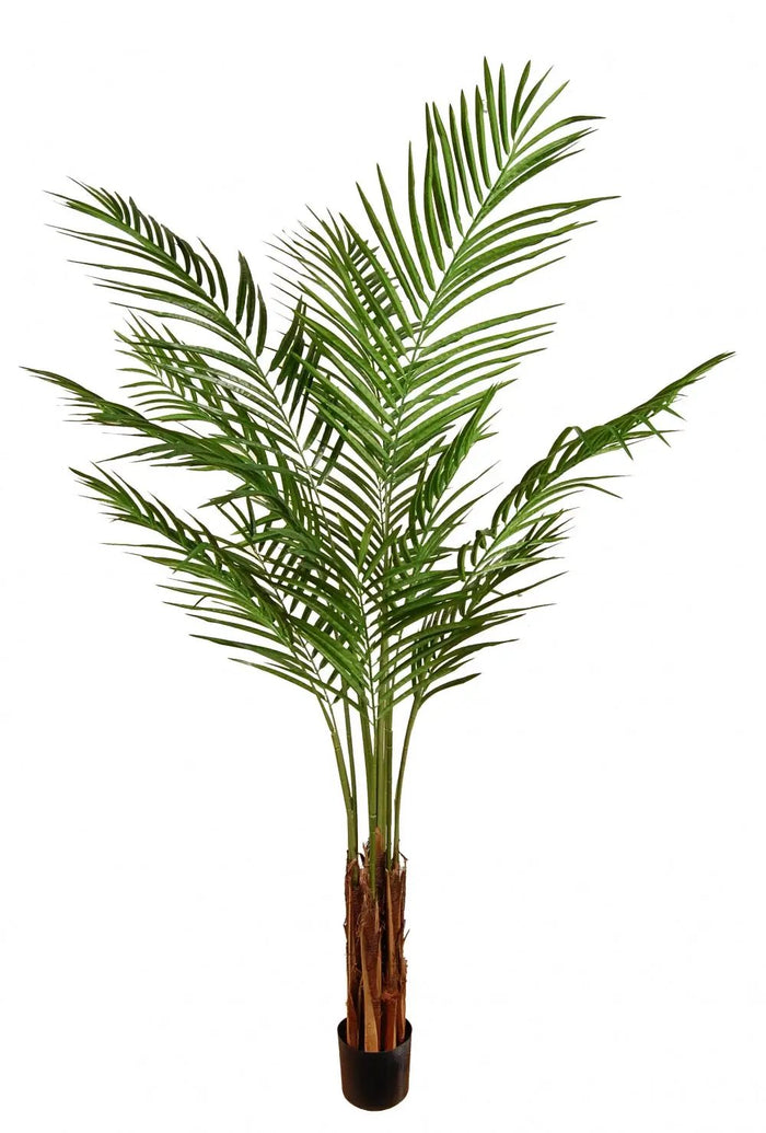 Greenhouse International Giant Areca Palm with Bark in Pot 5' - Silk