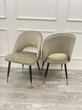 Astra Dining Chair - Champagne Velvet - Modern Home Interiors