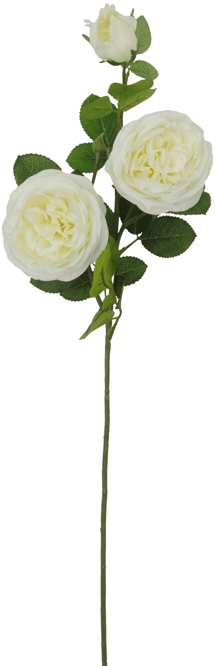 Golden Bell Austin Rose Spray White 30" - Artificial Flowering Plants Silk