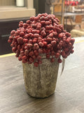 Allstate Berry in Mango Pot Burgundy 7.5" - Uncategorized Silk