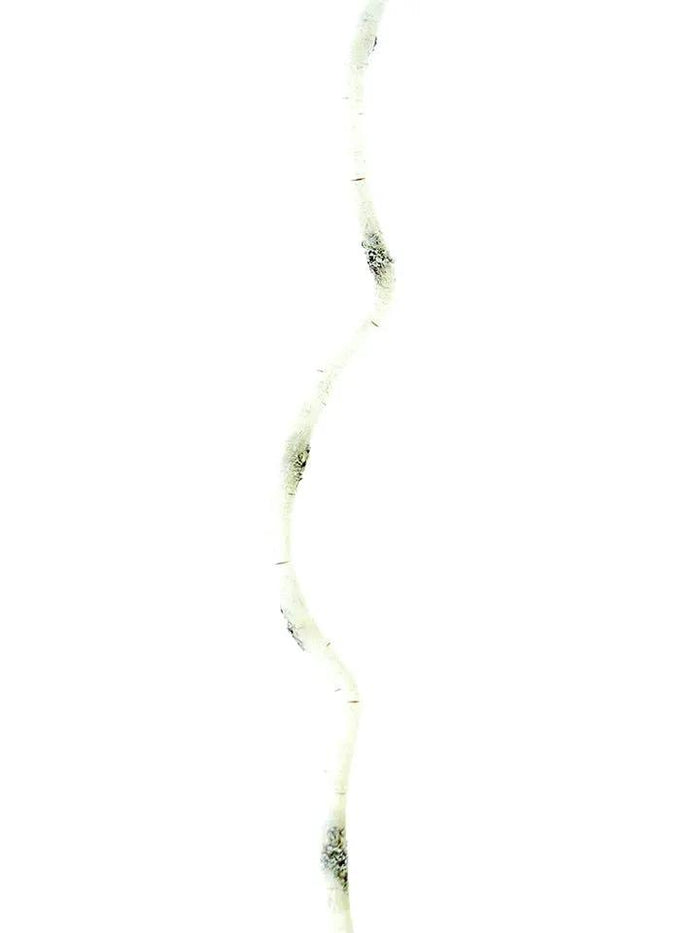 AmBest Birch Flex Stick White/Brown 72" - Artificial Non-Flowering Plants Silk