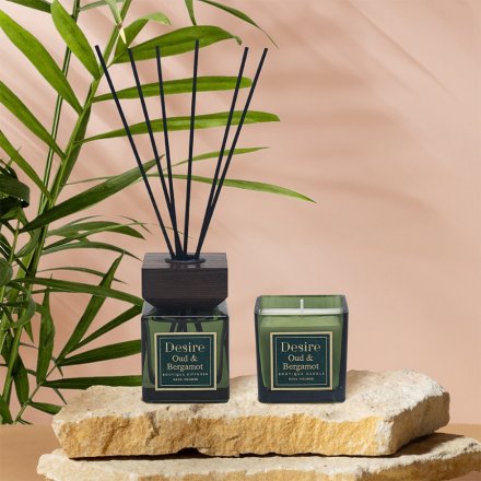 Boutique Oud & Bergamot Desire Candle & Diffuser Set - Modern Home Interiors