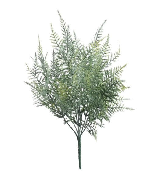 Box of 24 - 38cm Deluxe Asparagus Fern Bush - Full Box