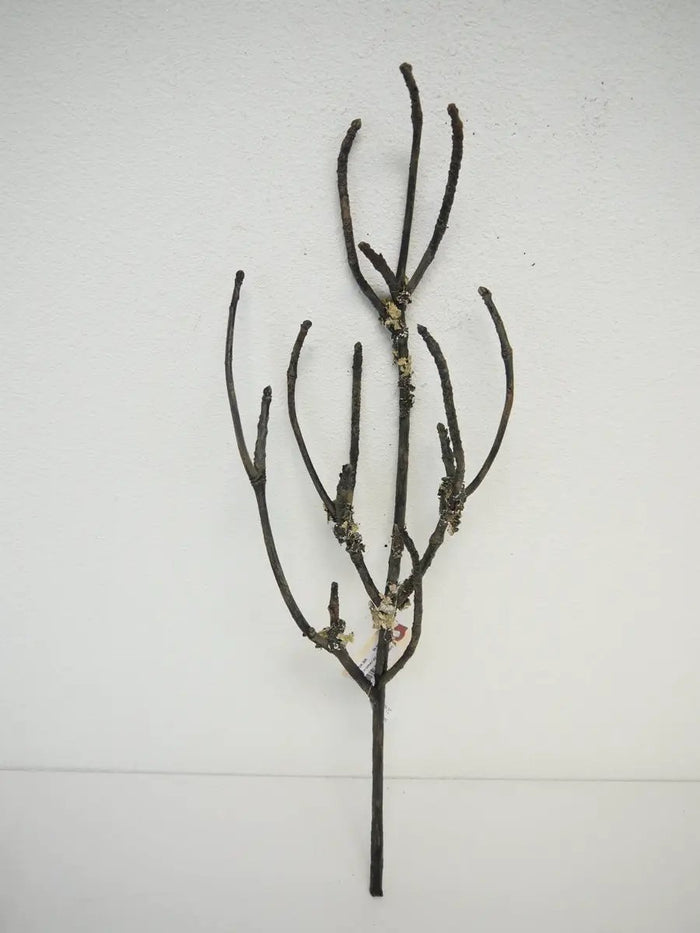 Branch Spray 28"