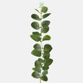 Bundle of 12 x 51cm - Green Eucalyptus Single Stem Greenery (S1-1)