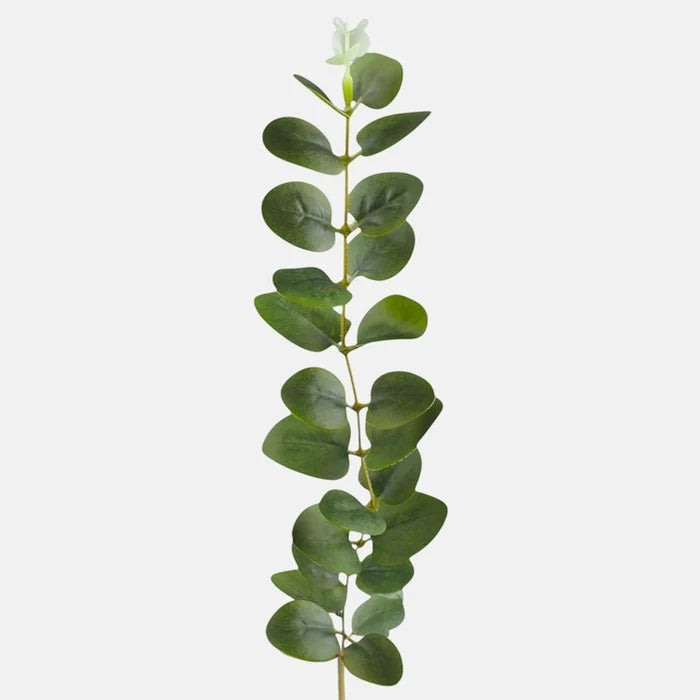 Bundle of 12 x 51cm - Green Eucalyptus Single Stem Greenery (S1-1)