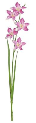 Select Cattleya Orchid Spray Beauty 28" - Uncategorized Silk