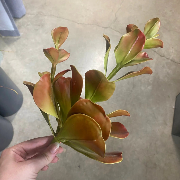 Select Coastal Succulent Pick Coral/Green 15" - Uncategorized Silk