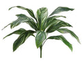 Allstate Cordyline Bush Green-White 26" - Uncategorized Silk