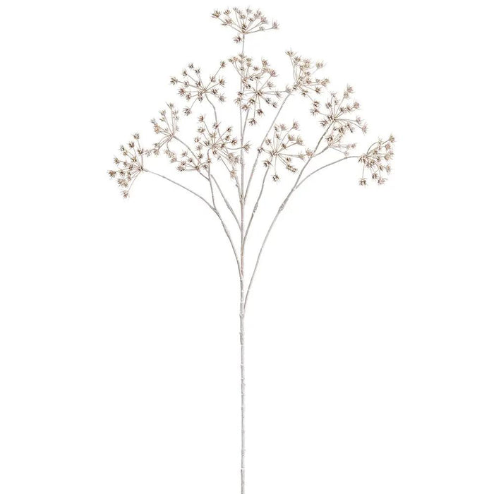 Cow Parsley Spray Beige 35"