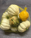 Cream-Green Pumpkin/Gourds 6" (Bag of 8)