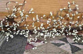 Creme Pip Berry and Star Garland 40" - Primitive Star Quilt Shop
