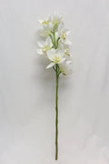 Supreme Cymbidium Stem Cream 30" - Uncategorized Silk