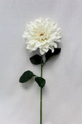 Dahlia Stem Cream 27"
