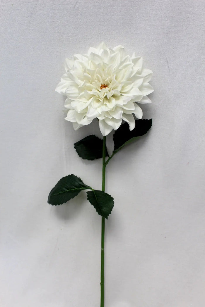 Dahlia Stem Cream 27"