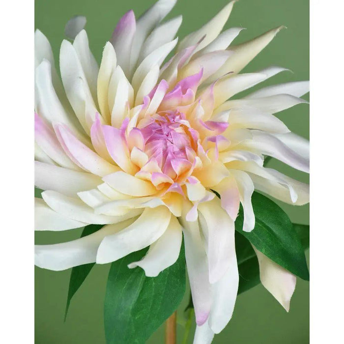 Direct Export Dahlia Stem Cream/Pink 27.5" - Artificial Flowering Plants Silk