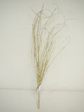 Distressed Cream Twig Spray 28"