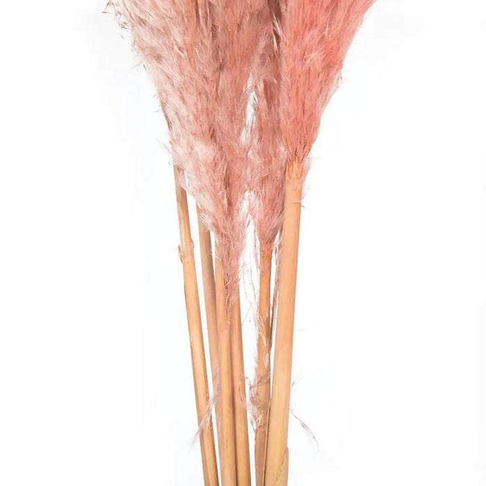 Vickerman Dusty Rose Pampas Grass 46" - Artificial Non-Flowering Plants Silk