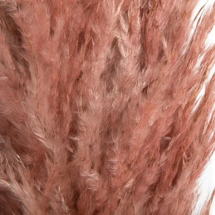 Vickerman Dusty Rose Pampas Grass 46" - Artificial Non-Flowering Plants Silk