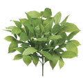 Allstate Fat Acuba Bush Light Green 18" - Artificial Non-Flowering Plants Silk