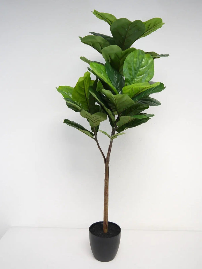 Fiddle Leaf Topiary in Pot 4.5'