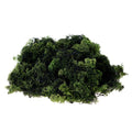Finland Moss Green 500g