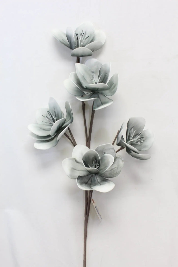 Foam Japanese Magnolia Spray Grey