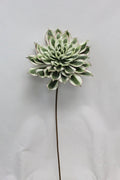 Foam Succulent Flower Green/Cream 31.5"